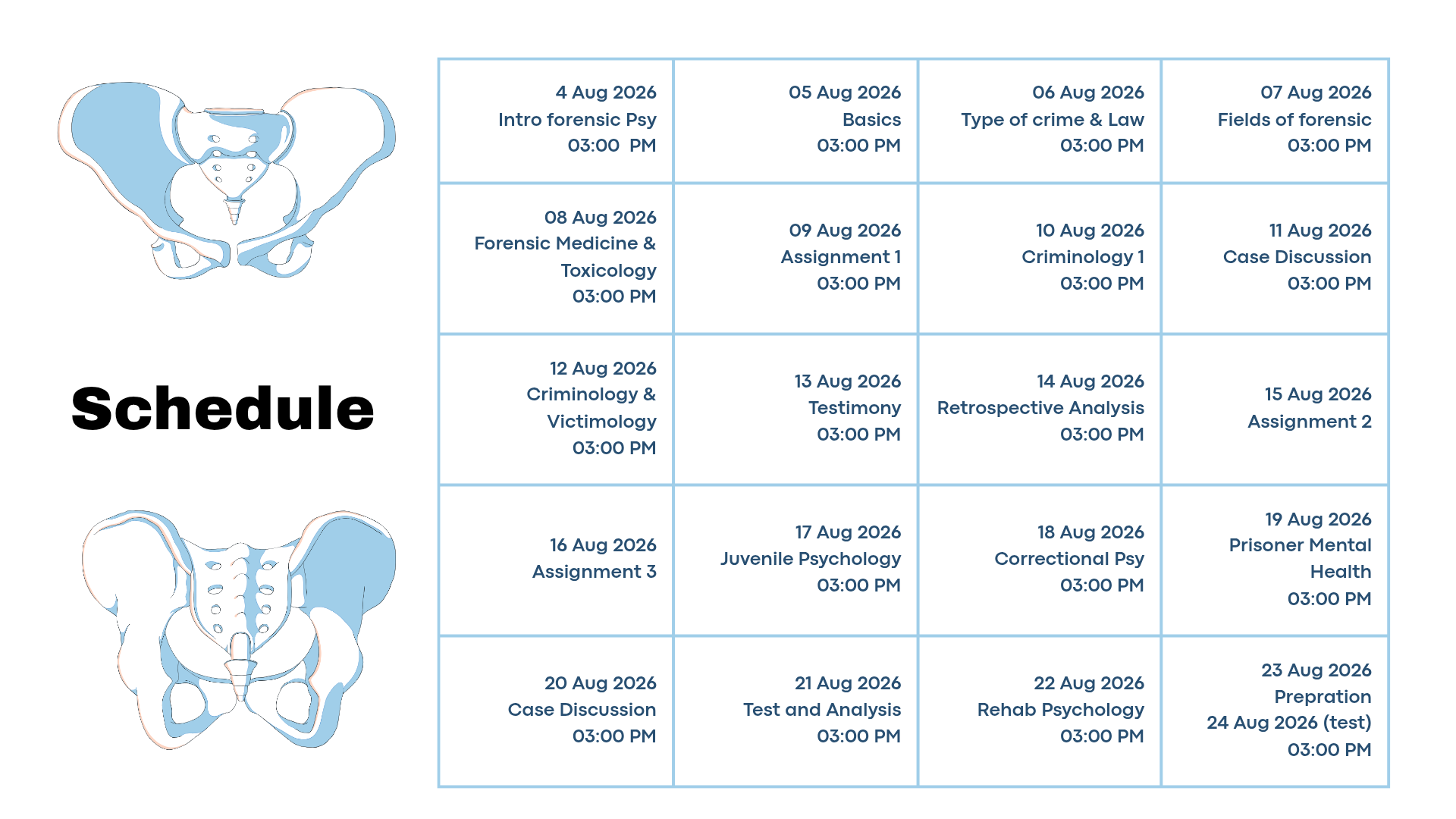 Schedule