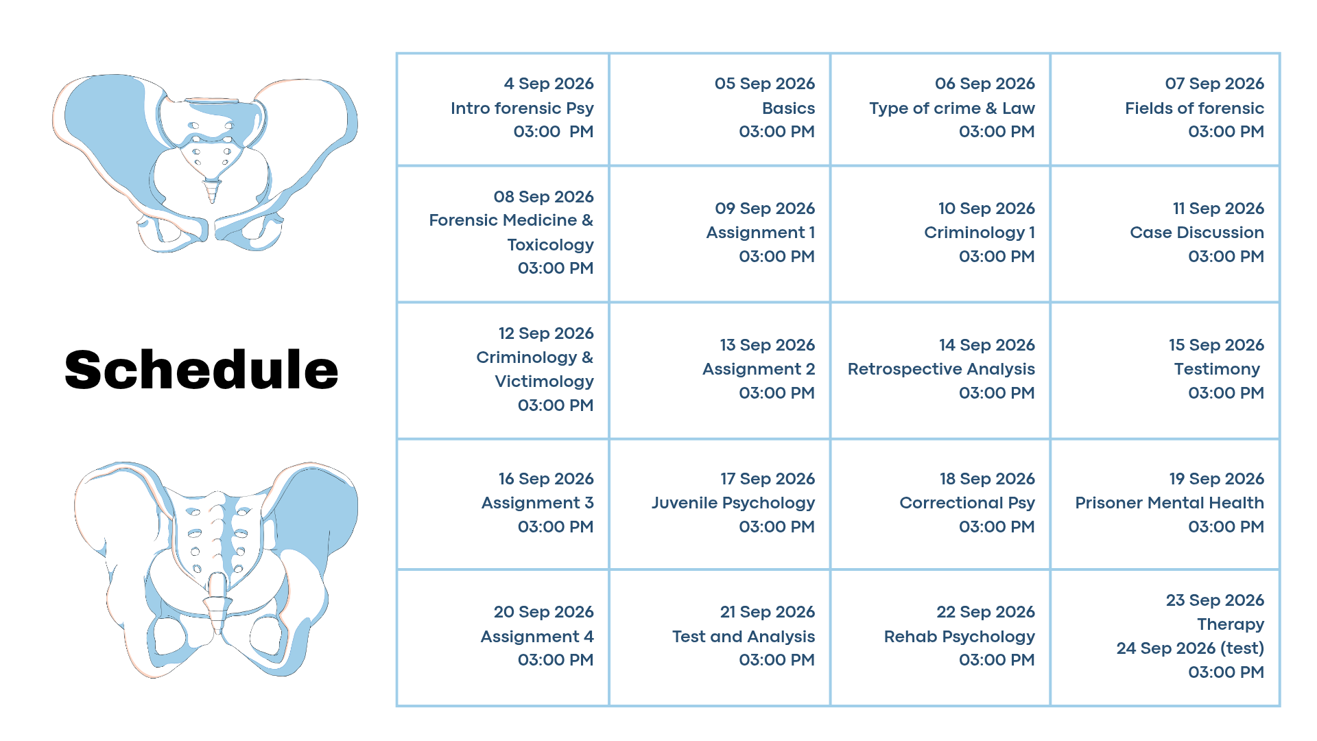 Schedule